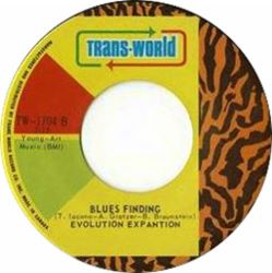 Evolution Expantion -- Blow Up / Blues Finding - 7
