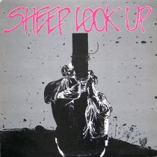 Sheep Look Up -- Sheep Look Up 12