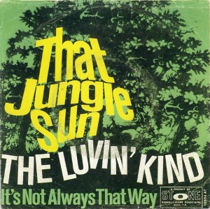  The Luvin' Kind -- That Jungle Sun / It's Not Always That Way - 7