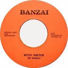 The Valhallla - Witch Doctor b/w Mister Fantasy - 7