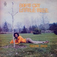 Trevor Dandy -- Don't Cry Little Tree